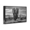 Stupell Industries Cactus Sunset in Monochrome Framed Giclee, design by Norm Stelfox